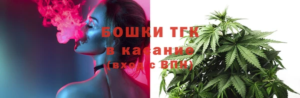 шишки Михайлов