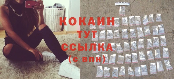 шишки Михайлов