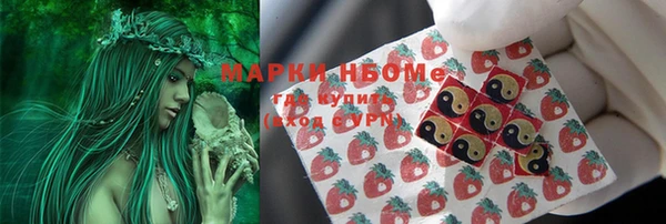 трава Бердск