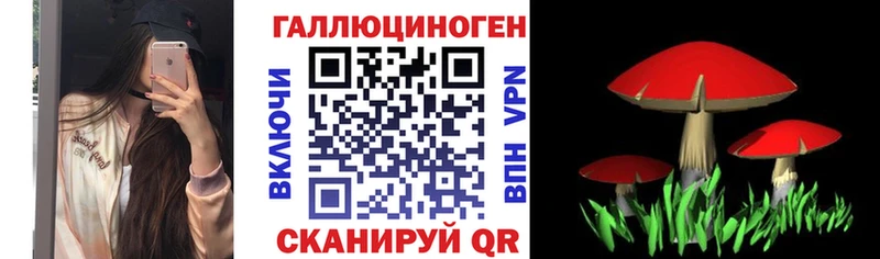 shop формула  Владивосток  Галлюциногенные грибы прущие грибы 