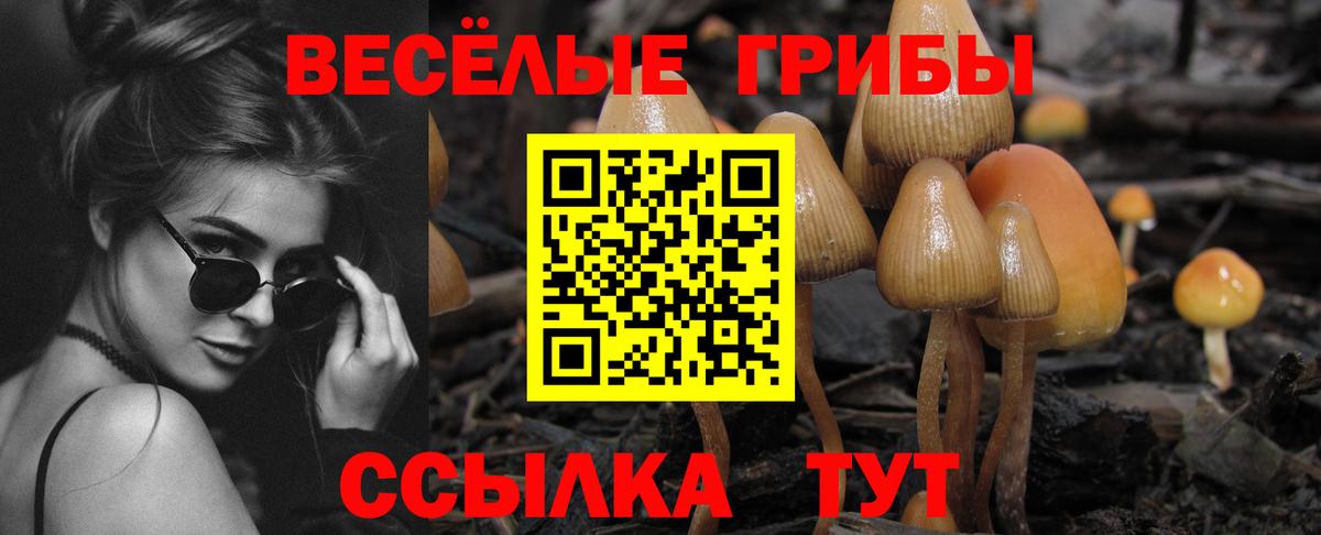 Владивосток  Псилоцибиновые грибы Psilocybe  Вход с VPN  Галлюциногенные грибы Magic Shrooms 
