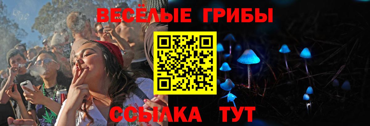 Галлюциногенные грибы прущие грибы Владивосток